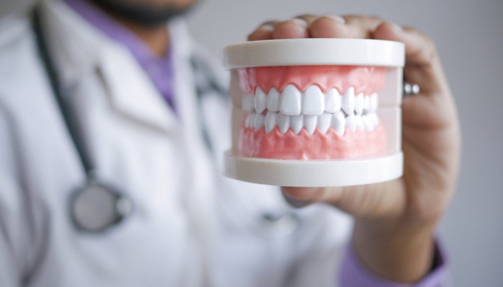 Dentist demonstrates dental alignment using a model of teeth for patient education.