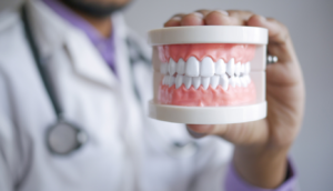 the-dental-project-gum-health | The Dental Project | The Dental Project Dentist demonstrates dental alignment using a model of teeth for patient education.